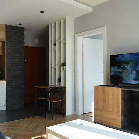 Apartment Sosnowiec City - Free Parking - Easy Check-In Esterno foto