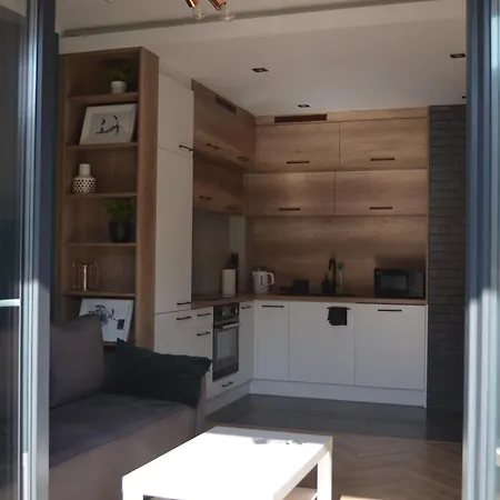 Apartment Sosnowiec City - Free Parking - Easy Check-In Esterno foto
