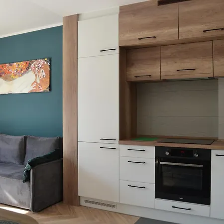 Apartment Sosnowiec City - Free Parking - Easy Check-In Esterno foto
