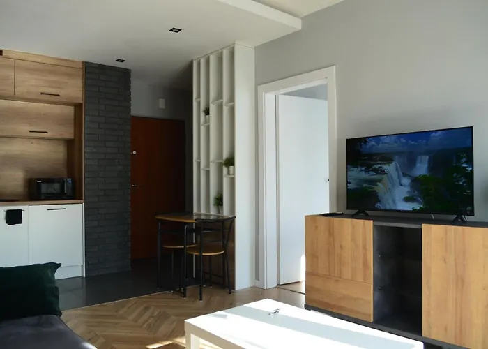 Apartment Sosnowiec City - Free Parking - Easy Check-In